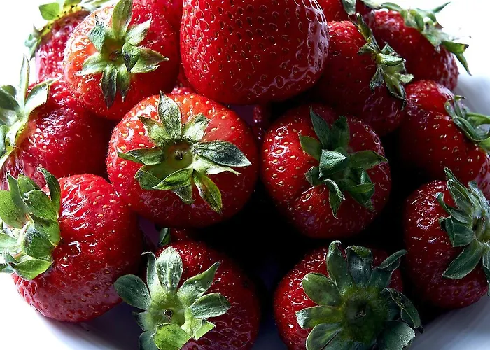 ホテル ハリーズ バー トレビ ホテル＆レストラン 5*